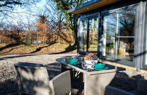 Bird House - Sleep with the Owls! - Foto 12