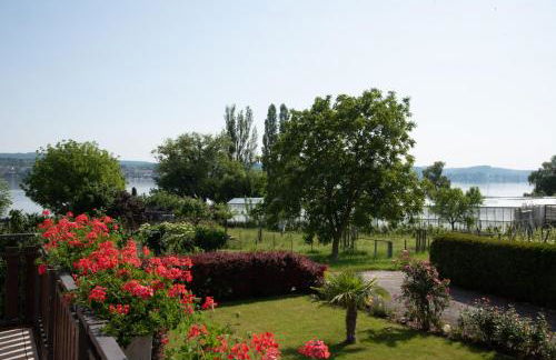 Ferienwohnung Wurz - Insel Reichenau - Foto 2