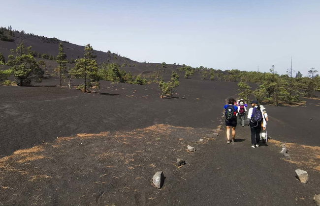 Tajogaite Volcano Day Trip - Photo 2