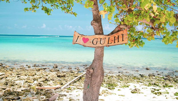 Disfrutando de las vistas