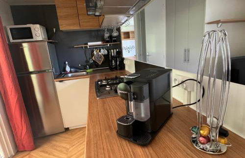 Vacances sous les pins, près de la mer, 6-8 pers,bien équipé, piscine - Foto 4