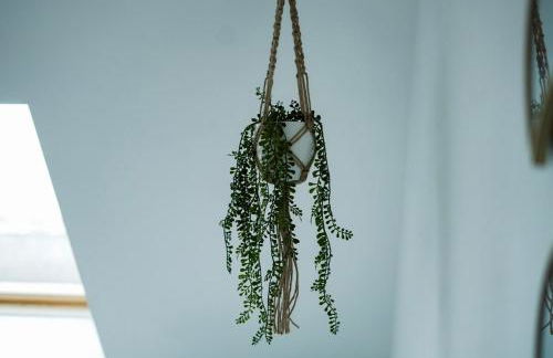 Maison Amiénoise - À 10 min du Centre - Confort - Foto 31