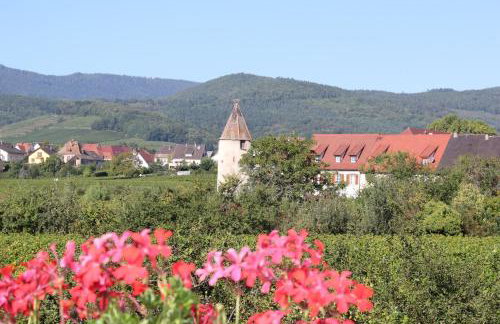 Gîte Le Cep d'Or Alsace - Foto 24
