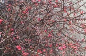 Antica Dimora - Foto 46