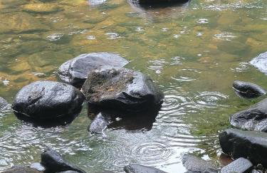 'Wee Smiddy' Shepherd's Hut - Sauna - Yoga - Wild Swim - Foto 11