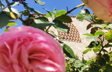 Fattoria di Mugnano - Foto 13