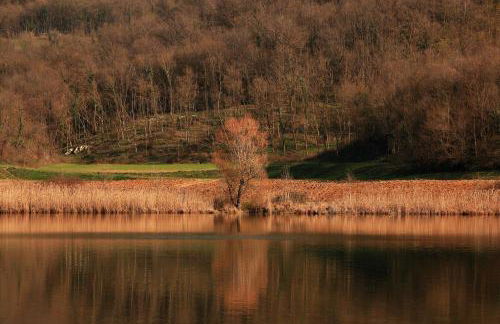 Fattoria Le Vegre - Foto 35