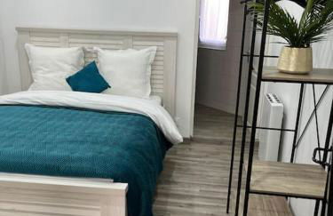 Colmar,appart chaleureux 2 pas centre avec jardin - Foto 22