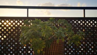 House in riviera lagonisi - Foto 4