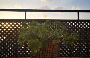 House in riviera lagonisi - Foto 4