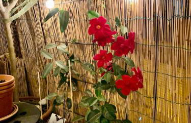 Urban Greener - MORADA - Foto 19