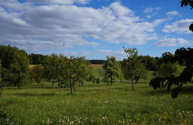 Woodland Escape With Garden - Foto 36