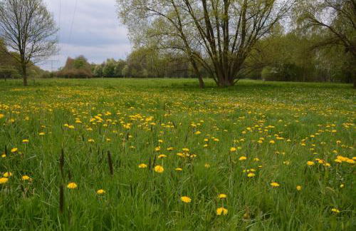 Ferienappartements "Landromantik" - Foto 67