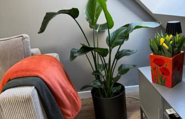 Apartament Fyrtel - Photo 31