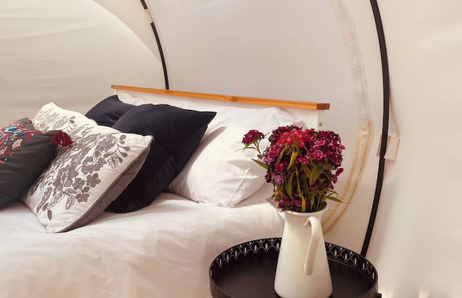 Nest and Nurture - Photo 21