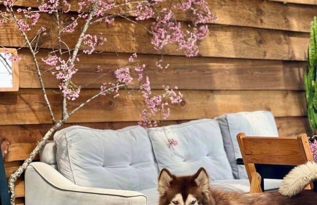 Scent House - Village - Foto 31