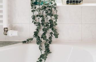 Creekside Colors - Playful Apartment - Foto 21