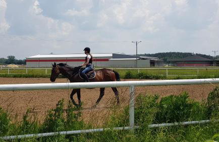 Silence Villa - Foto 18