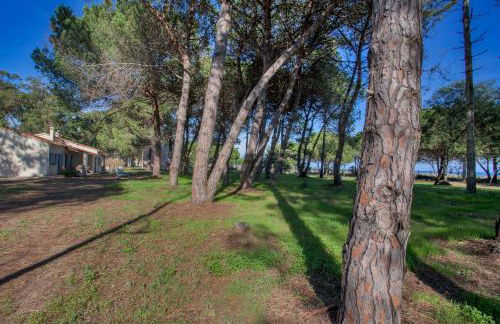 MAISONS BORD DE MER- MARINE DE SORBO - Gîtes 3 épis - Foto 53