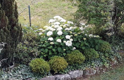 Isoldes Landhaus - Foto 46