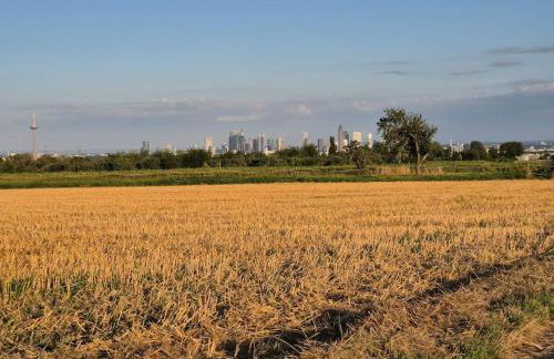 Bungalow, Uneinsehbar, 8 Personen maximal, 3 Personen oben, 5 unten - Foto 22