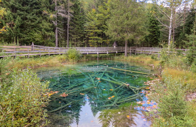 Chalet Bodental 28 - Photo 19