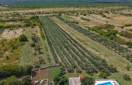 Rural Villa Olive Krka- 4 bedrooms, 3 bathrooms, private pool, park Krka 10 min - Foto 47