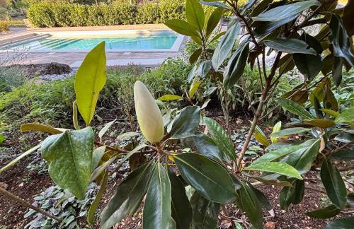 Villa Botanica - Lush Garden and Pool Oasis - Foto 21