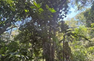 Sítio com piscina natural Cachoeiras de Macacu - Foto 4