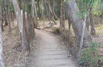 Stefy Home - Foto 21