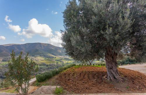 Augusta Country House - Foto 30