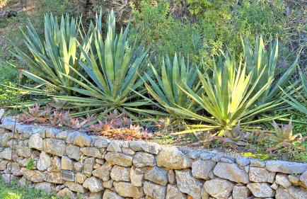 Villa Lou Bagarède - Foto 24