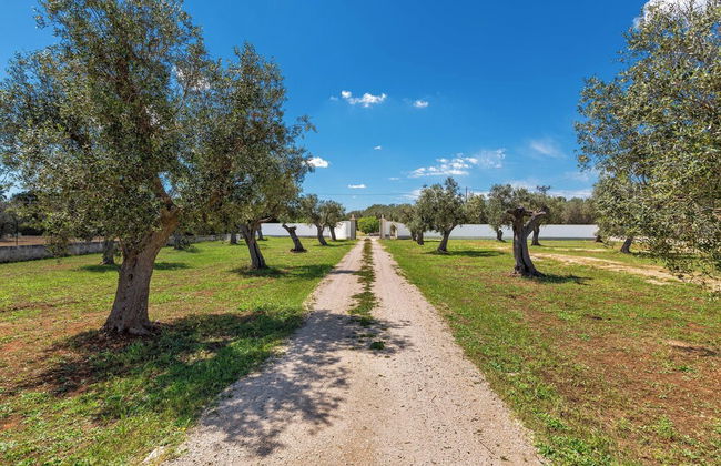 3921 Villa Cesira by Perle di Puglia - Foto 52