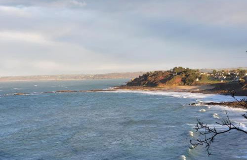 Maison Plestin proche plage et GR 34 avec Jardin - Foto 30
