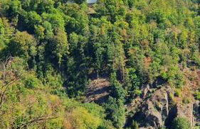 Gemütliches Ferienhaus "Glück" mit Gartensauna - Ideal für Familien & Paare - Foto 37