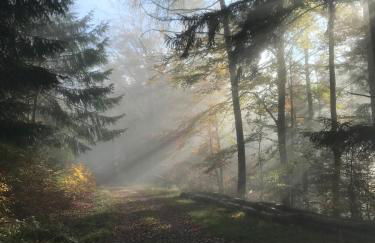 Schwalmala Logement calme au coeur du vignoble - Foto 29