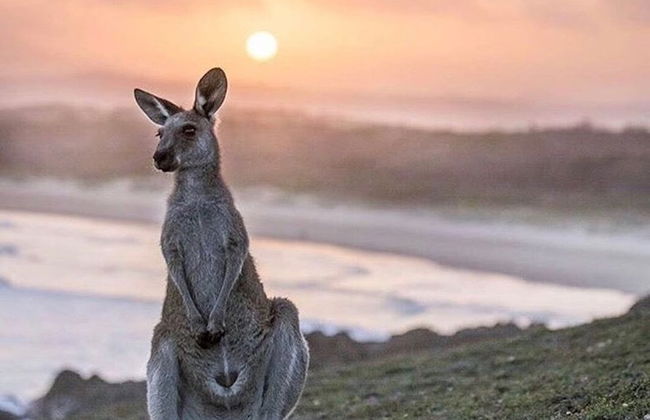 Haven Oceana - Foto 23