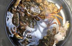 DaisyChain Getaways The perfect place to Stay Play and Getaway - Foto 64