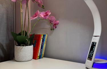 Luxury 2-Bed Apartment,Office with Built-In TV King Bed, Private Entrance and free Parking - Foto 24