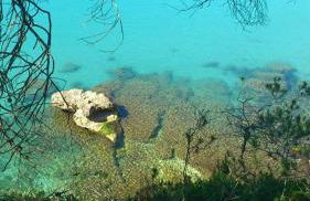 ROQUES DAURADES III - JARDIN PRIVADO - Foto 42