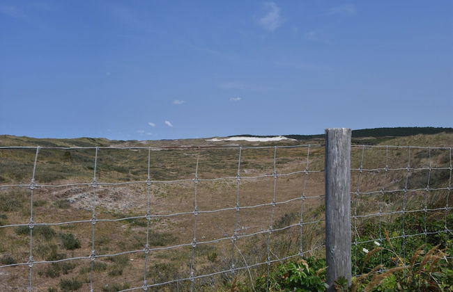 Dune Top Family Retreat - Photo 25