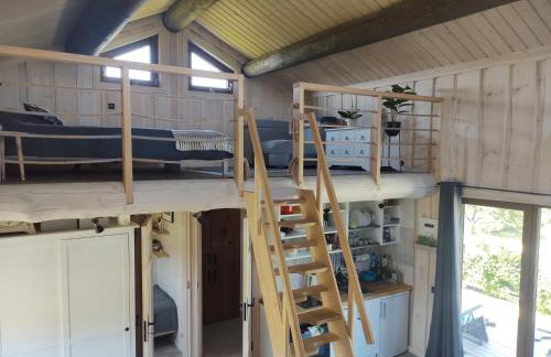 Bociani spokój - Foto 1