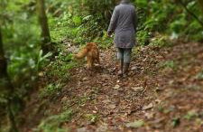 Refúgio nas Montanhas - Foto 13