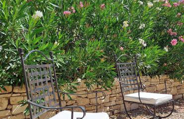 Domaine de Battarel, 4 hectares en Luberon - Foto 25