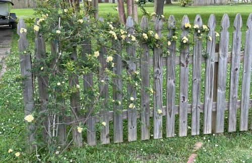 Cajun-Get Away - Foto 34