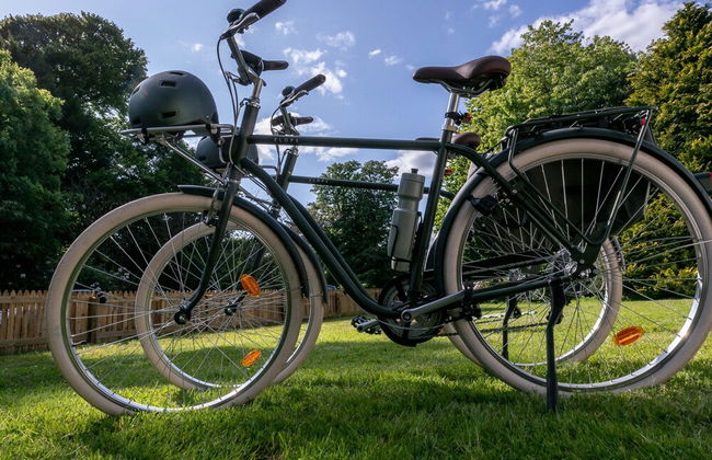 The Forest at Mount Congreve Gardens - Foto 32