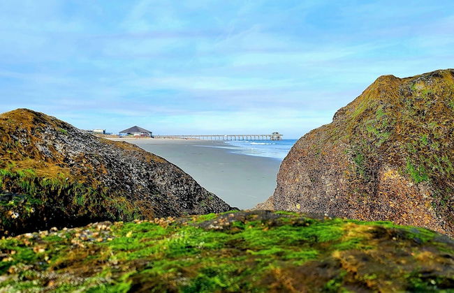 Tybee Sands - Foto 78