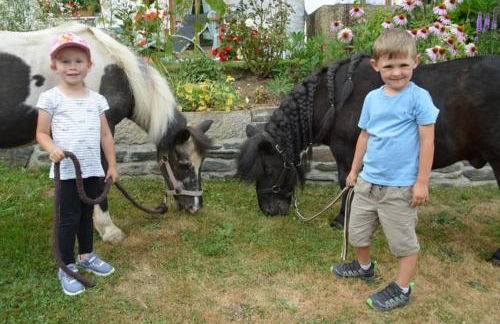 Ferienhof Altmann - Foto 42