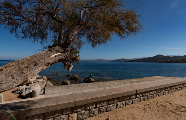 Résidence Posidonie - Photo 21