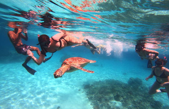 Snorkelling in Gili Meno - Foto 6
